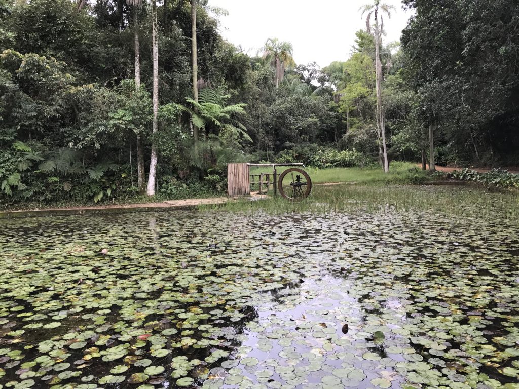 Jardim Botanico4nascente